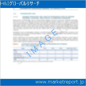 市場と産業調査レポートのイメージ